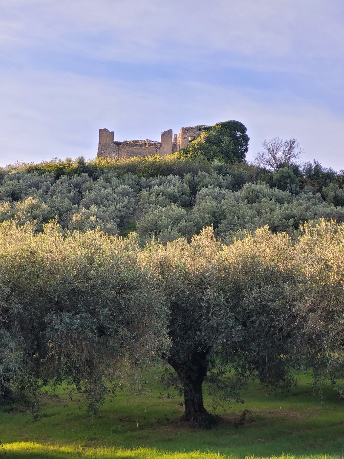Casale storico di Villa Falconieri